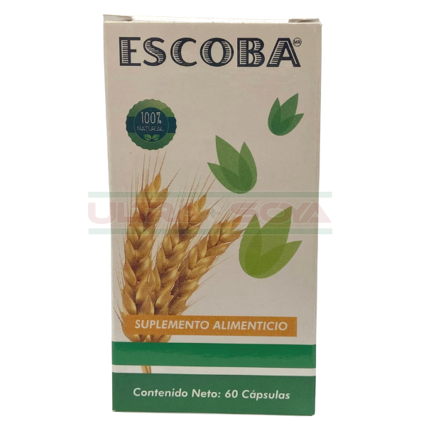 ESCOBA C/60